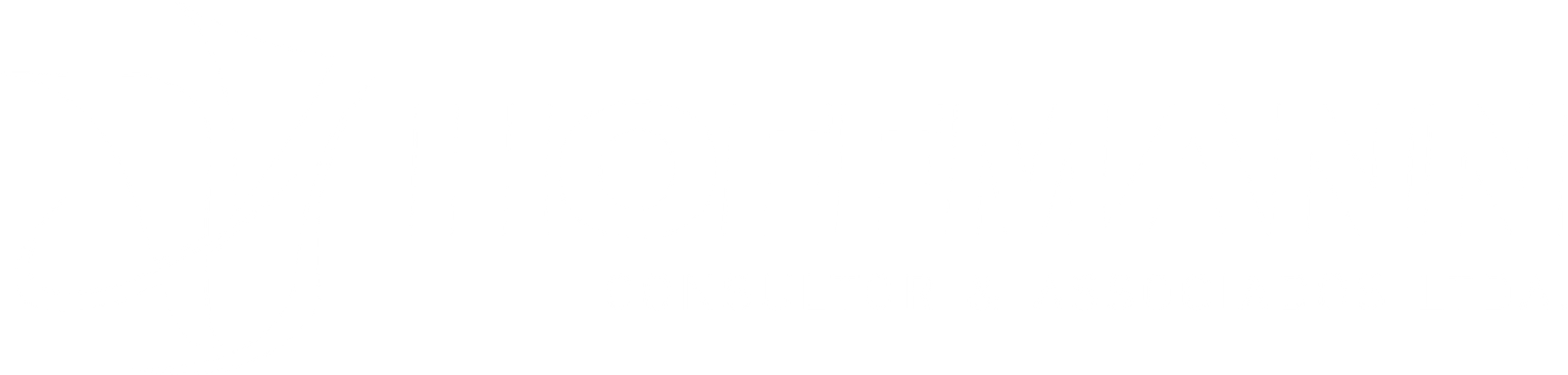 Hoffmann | Consultor e Associados